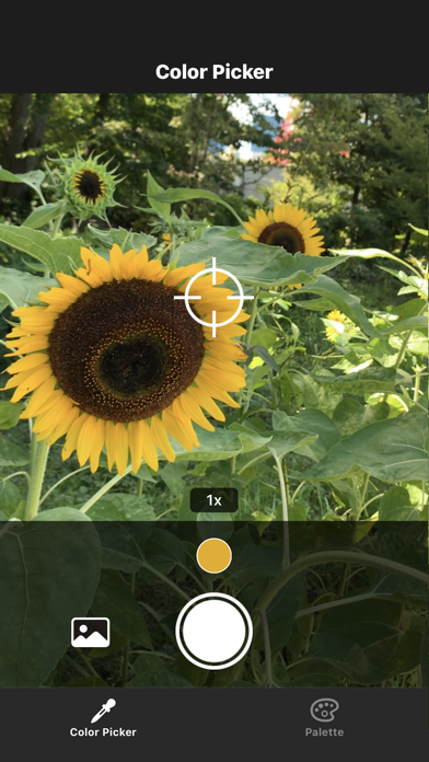 Color Picker - カラーピッカーのおすすめ画像1