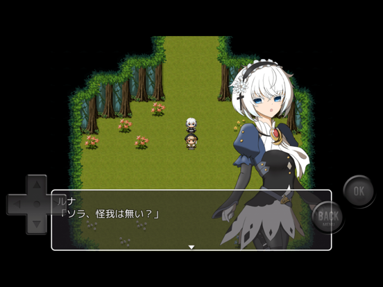 ミレニアムの護り手 iPad screenshot