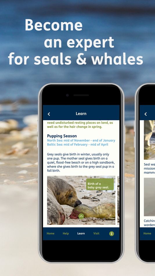 #3. Robben.App (iOS) 由: Landesbetrieb fuer Kuestenschutz, Nationalpark und Meeresschutz Schleswig-Holstein