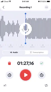 voice recorder: audio memos iphone screenshot 4