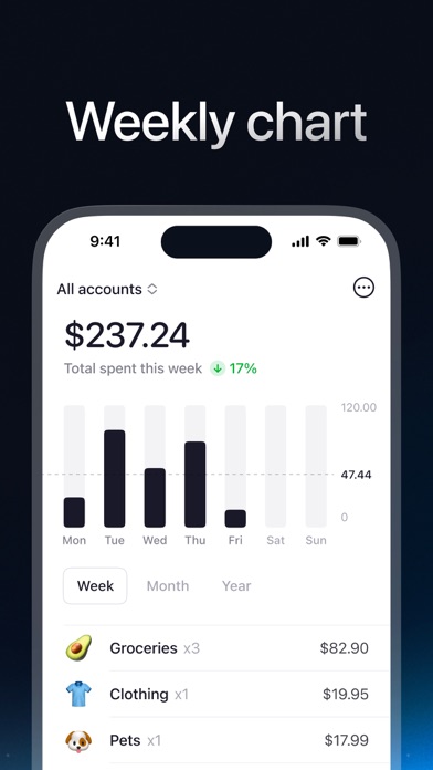 Five Cents: Expense and Income Screenshot