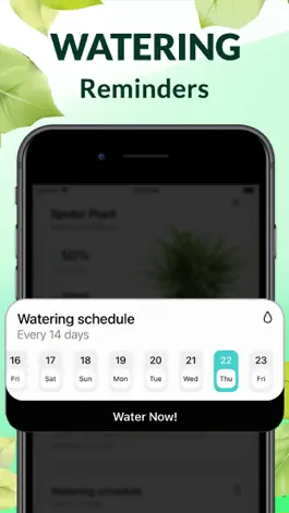 Game screenshot Wow Plant Identifier - AI Care hack