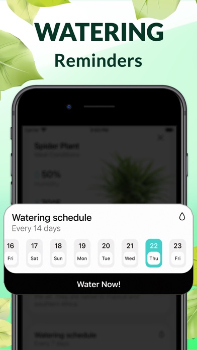 Wow Plant Identifier - AI Care Screenshot