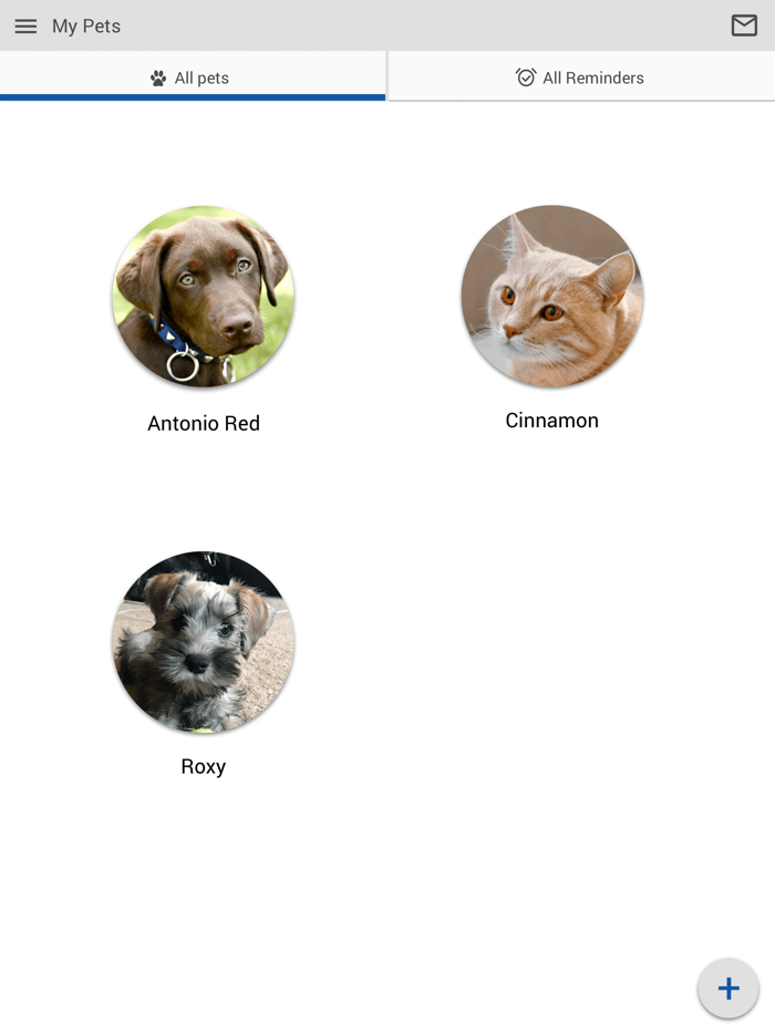 Companion Animal Hospital FL