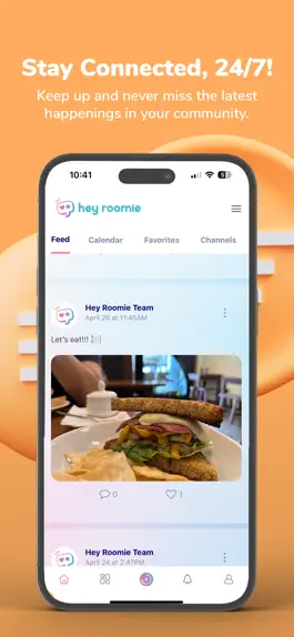Game screenshot Hey Roomie Creator apk