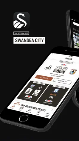 Game screenshot Swansea City mod apk