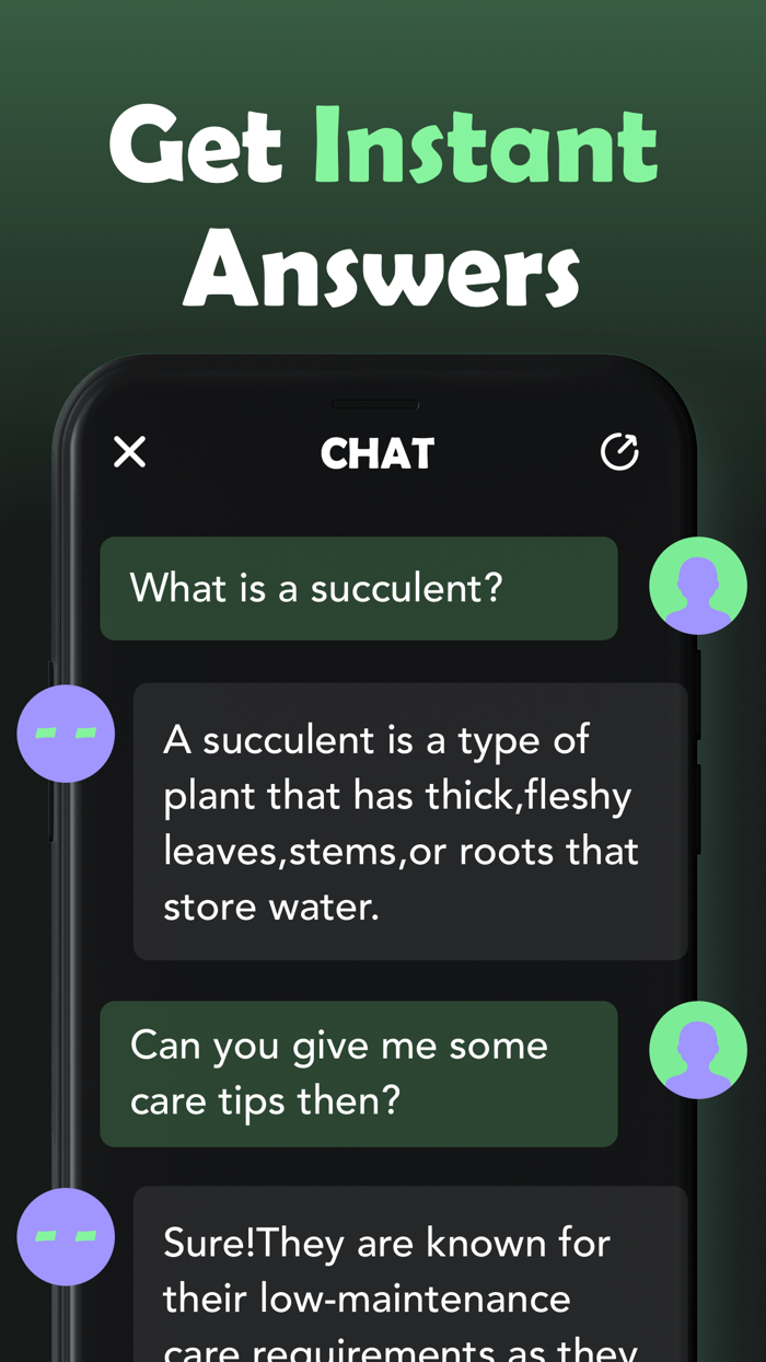 AI chat-Chatbot and Essay Writer