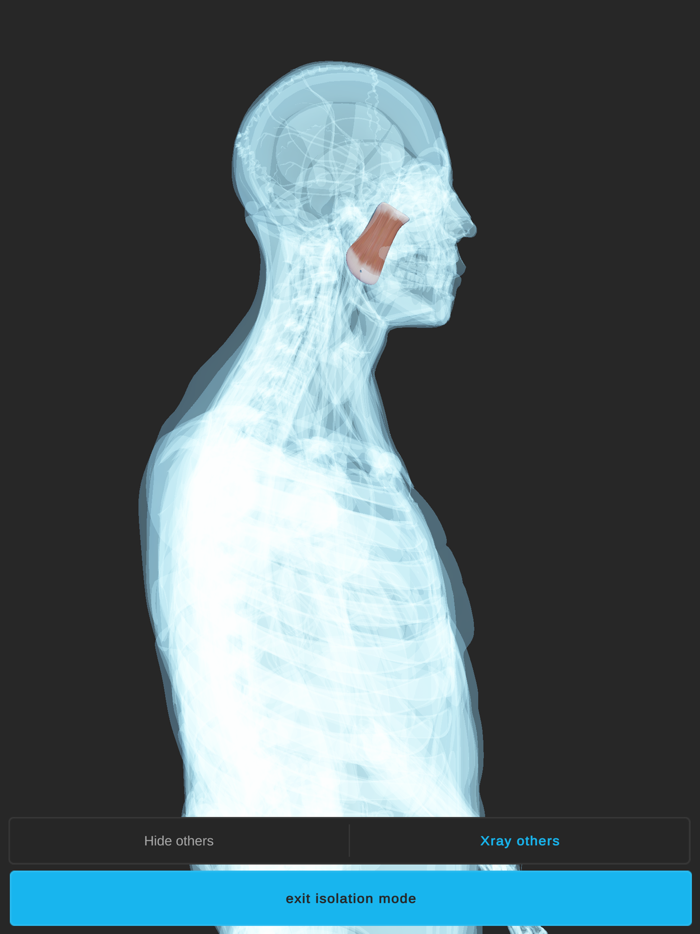 Visual Anatomy 3D - Human