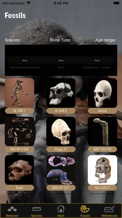 Human Evolution Screenshot