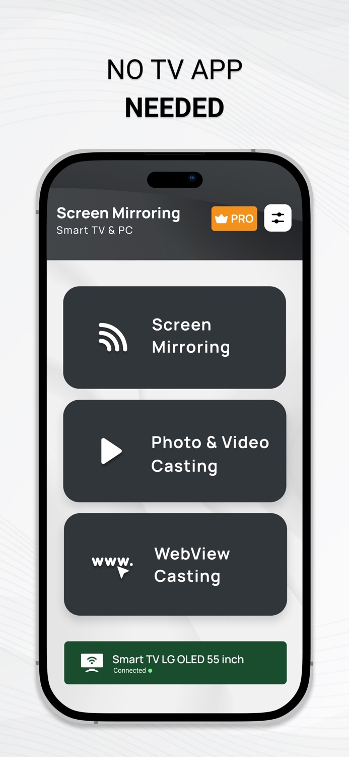 Screen Mirroring TV Cast View