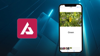 Alpha Axis Screenshot