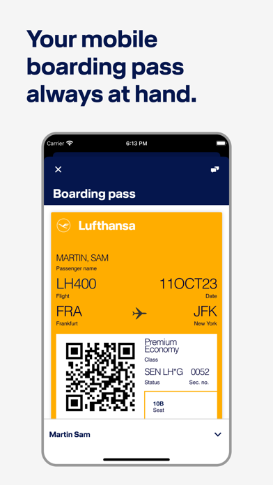 Lufthansa Screenshot