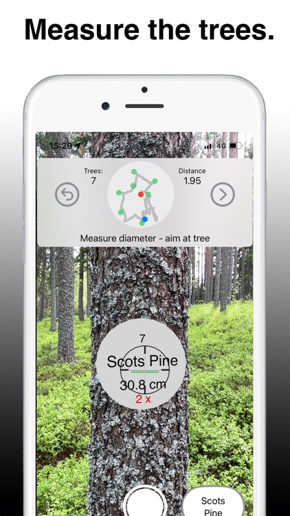 Arboreal Forest