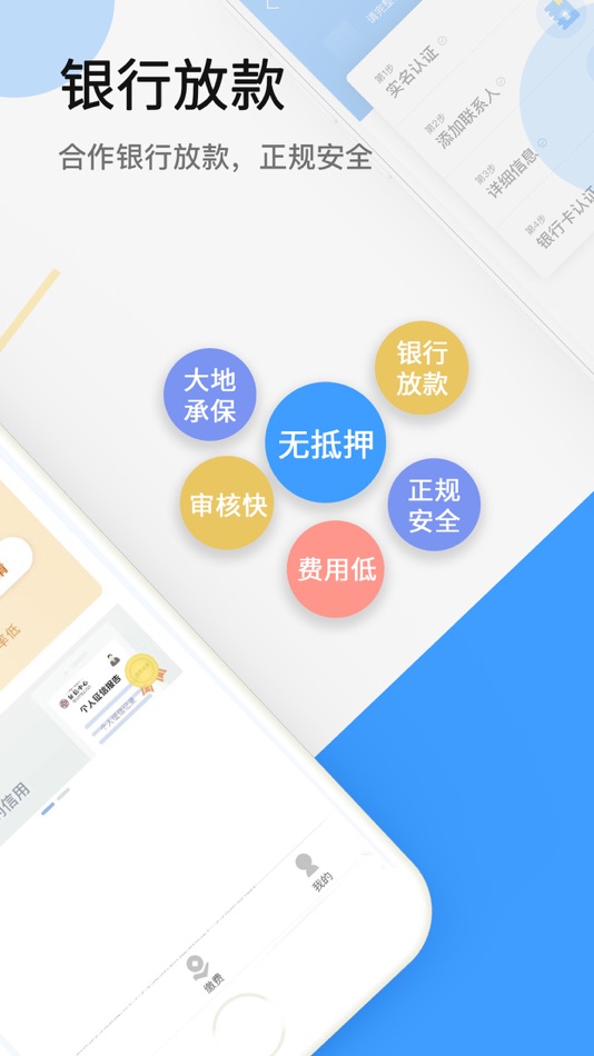 #2. 大地时贷险 (iOS) 作者: 中国大地财产保险股份有限公司