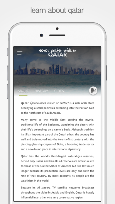 Qatar Travel Guide, Doha City Screenshot