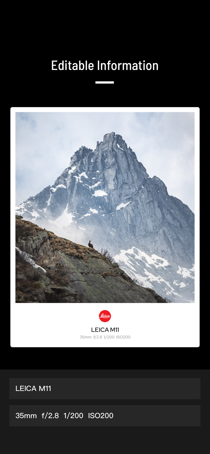 Matte Frame - Photo Frame