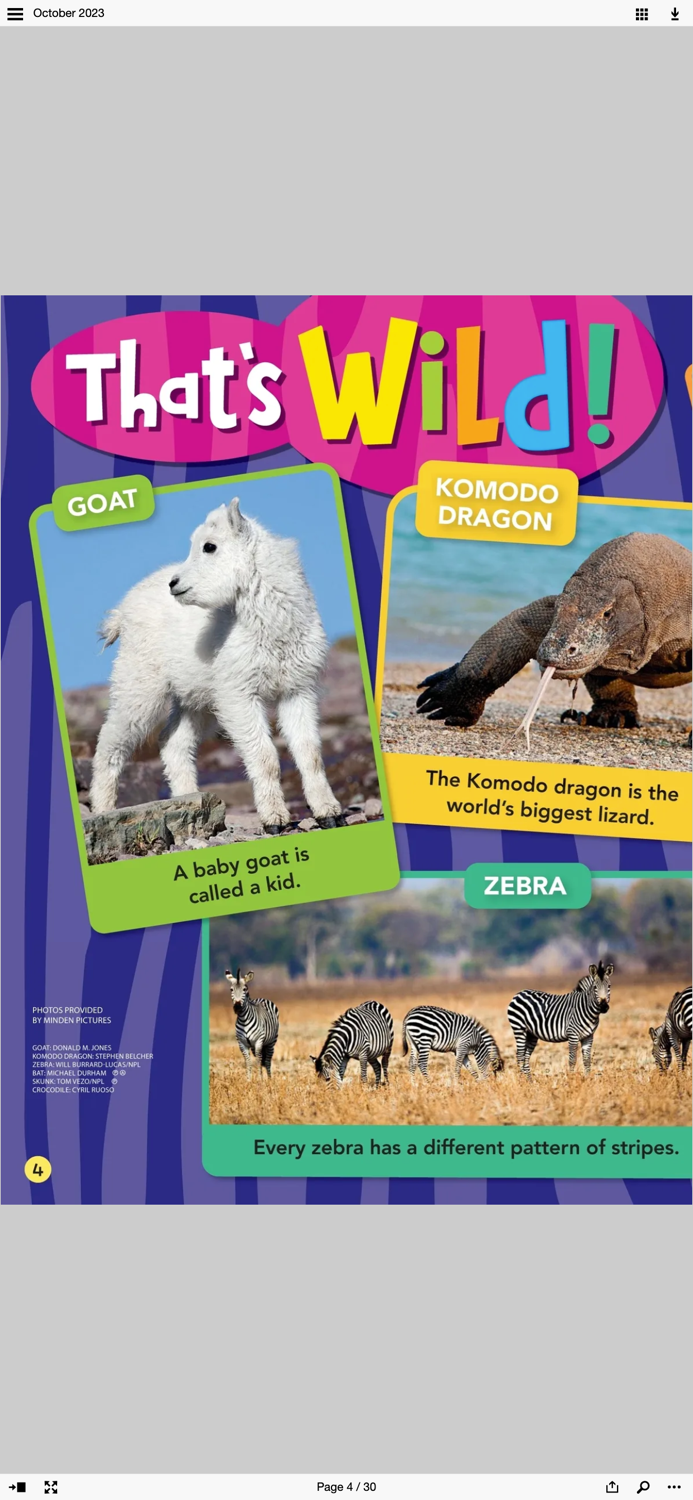 Ranger Rick Jr. Magazine