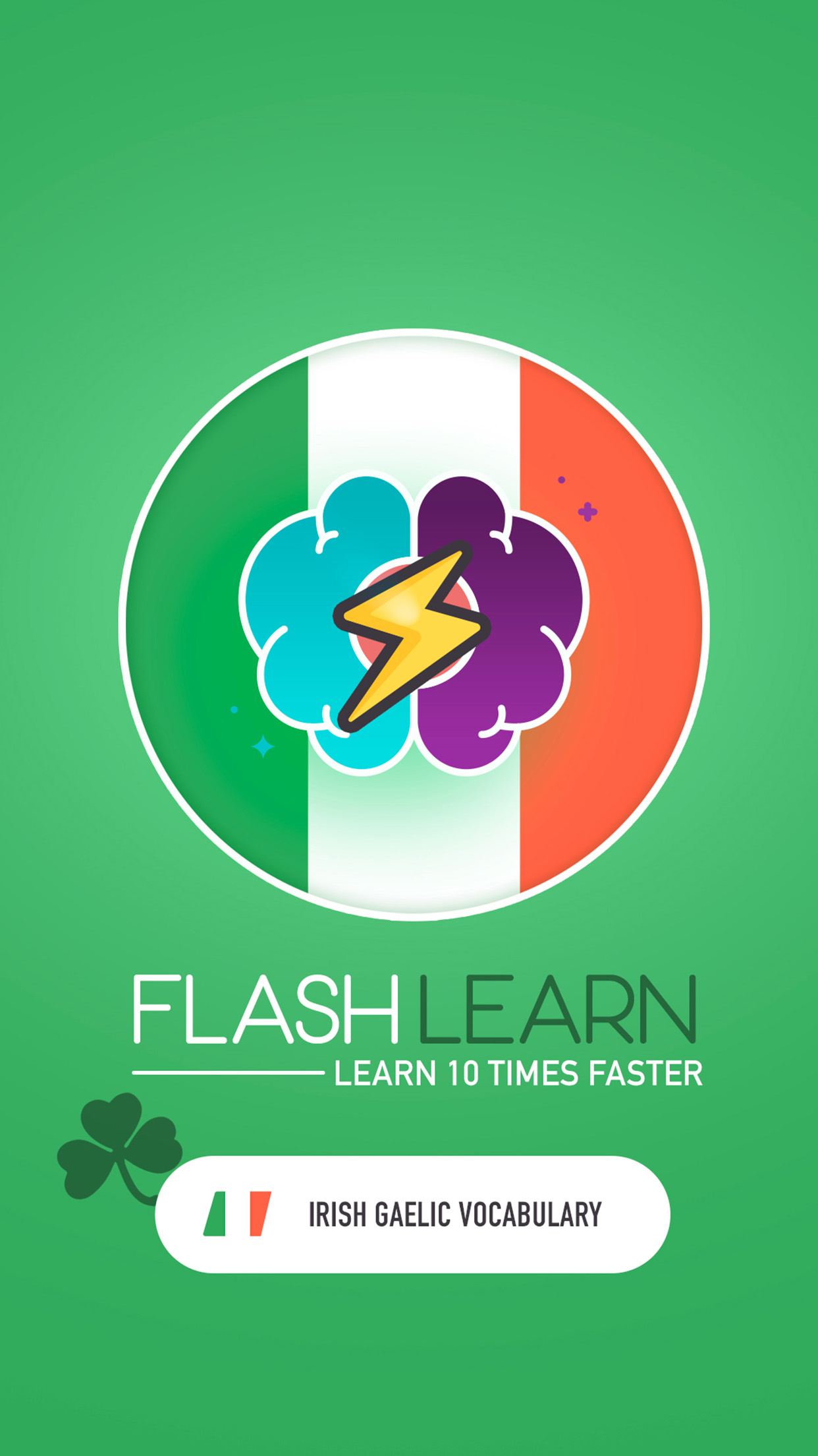 FlashLearn Irish Gaelic 2024