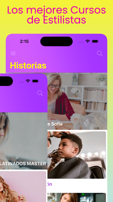 Negocios de Estilistas Screenshot