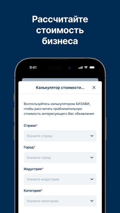 BIZAVI Screenshot