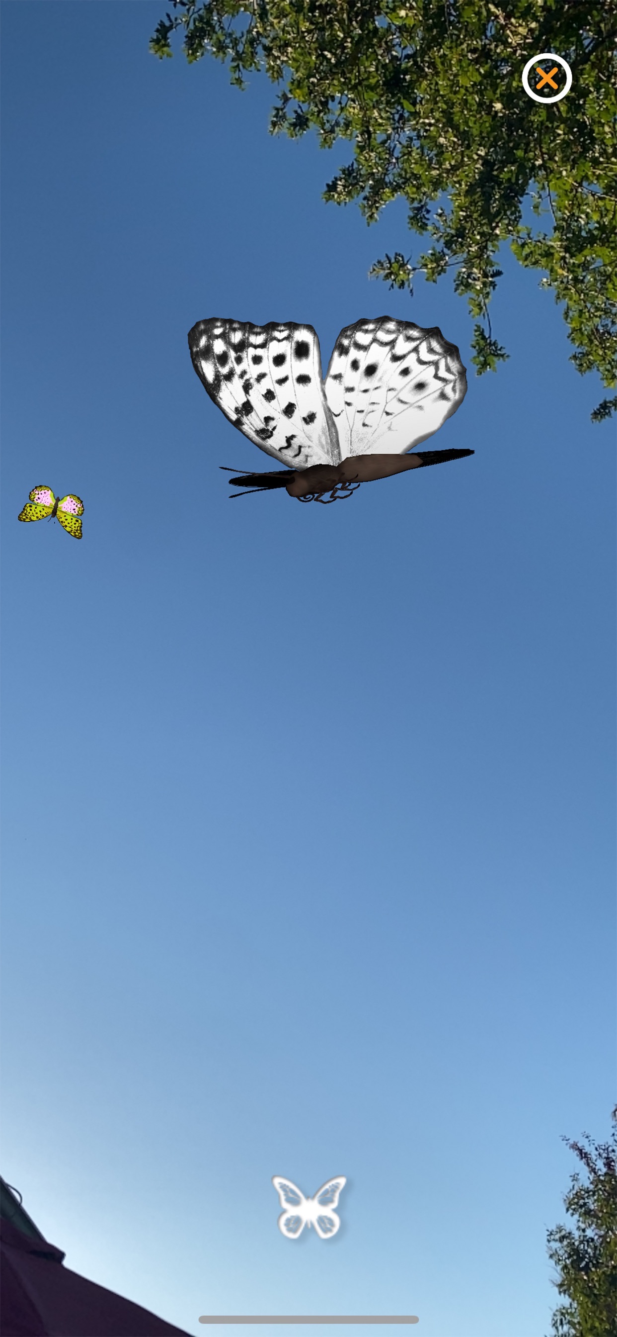 1001 Butterfliesのおすすめ画像6