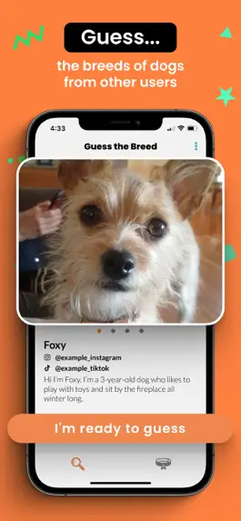 Game screenshot HoundHunch mod apk