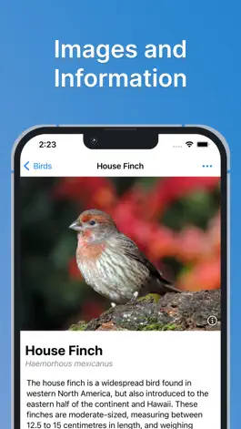 Game screenshot Feather Finder - A Bird Guide mod apk