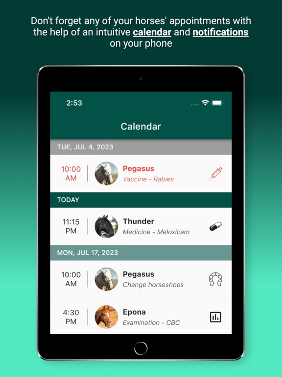 Horsefy iPad screenshot 3 - Sports app