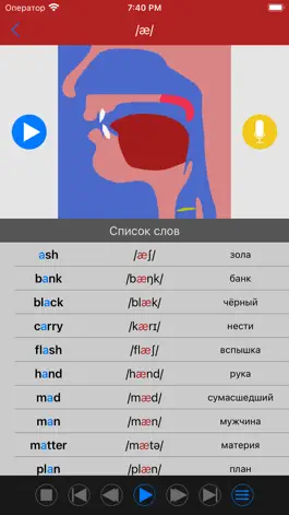 Game screenshot Английская фонетика apk