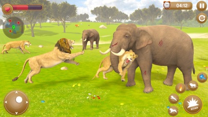 Lion Simulator - Animal Games Screenshot