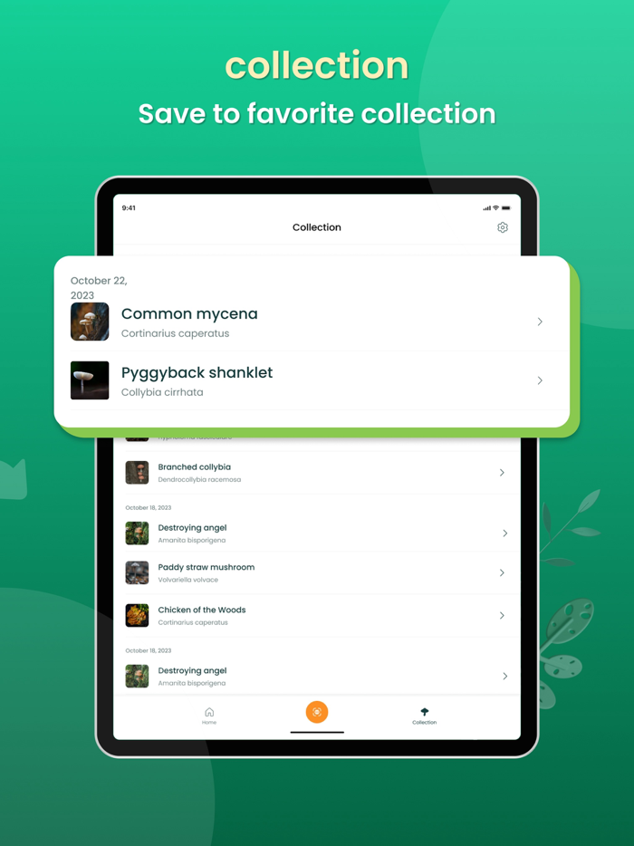 FungiSnap Mushroom Identifier