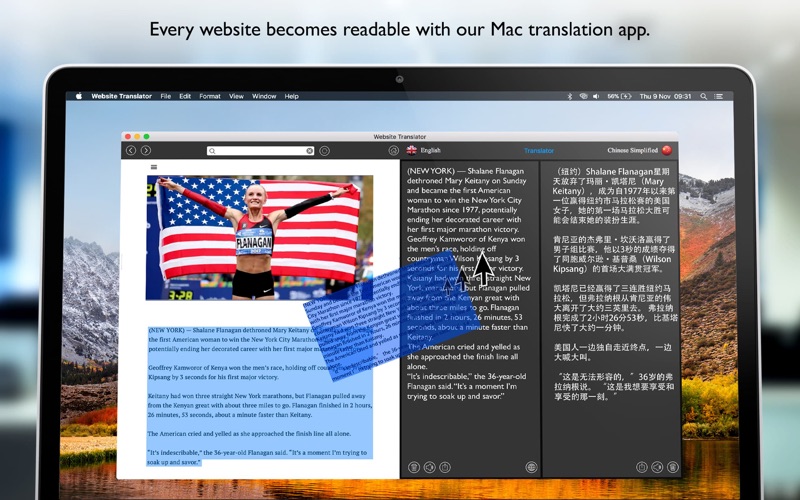 website translator . iphone screenshot 2