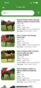 Just Horses screenshot #3 for iPhone