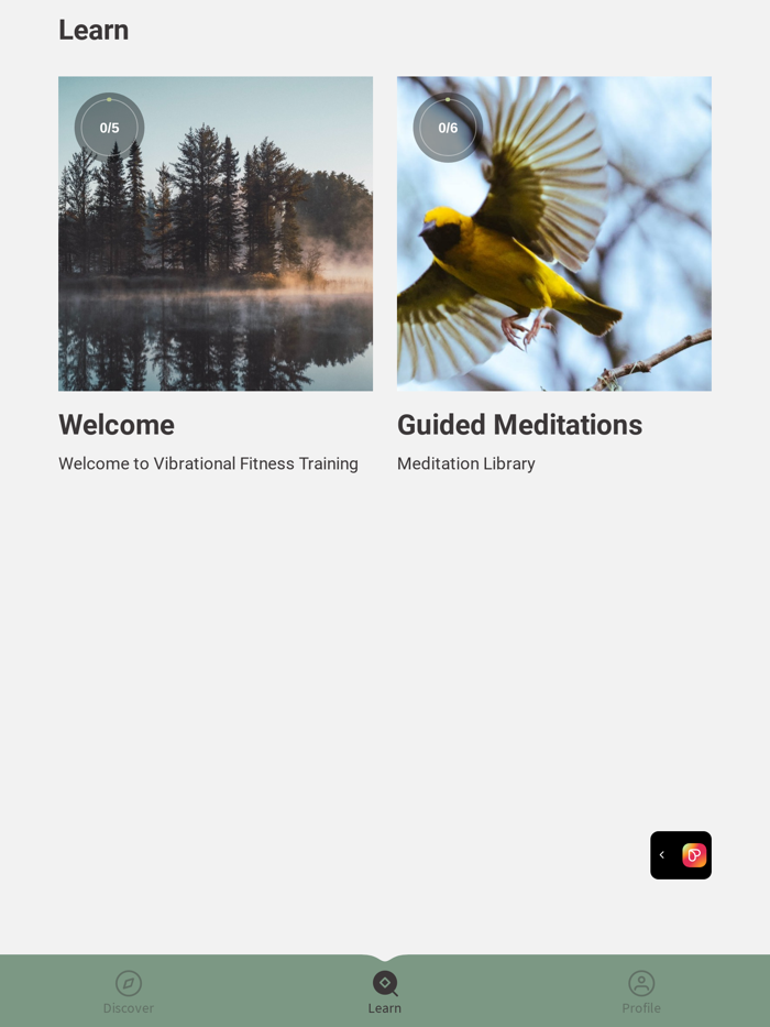 Vibrational Fitness Training