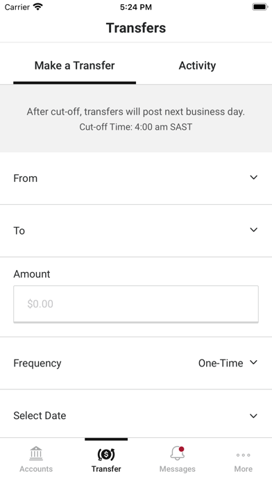 First National Bank - Trinity Screenshot
