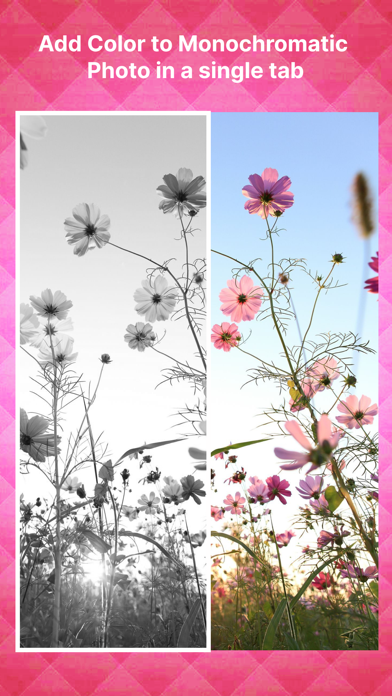 Black and White to Color Photo Screenshot