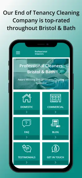 Game screenshot Professional Cleaners mod apk