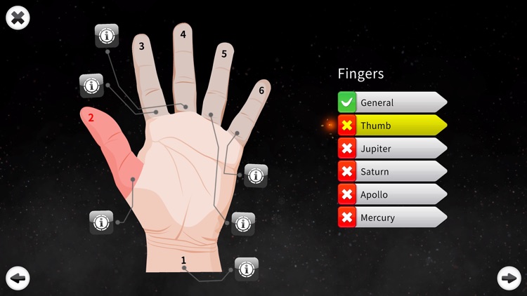 Palm Reading Premium screenshot-4