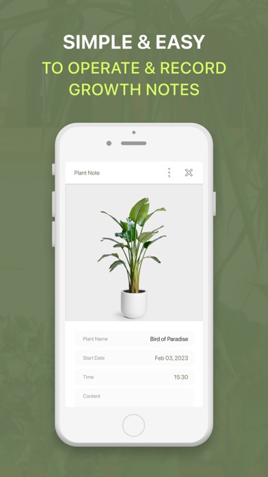 Plants_Grow