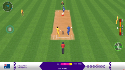 Play Real World Cricket Games Screenshot