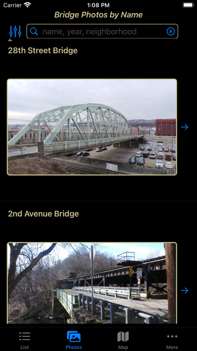 Pittsburgh City Bridges Screenshot