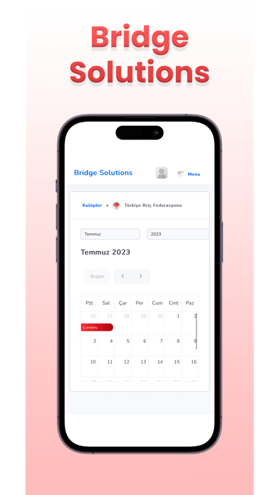 Bridge Solutions Screenshot