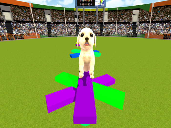 Puppy Show Simulator 3D