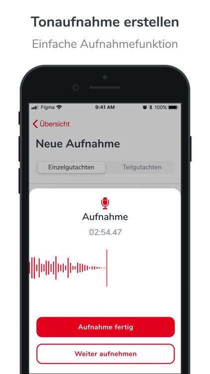 IV-Tonaufnahmen screenshot-3