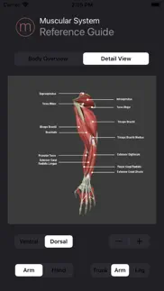 human muscular system guide problems & solutions and troubleshooting guide - 4