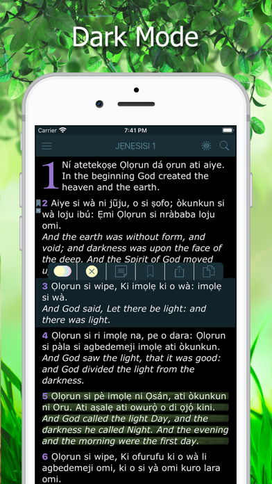 Screenshot #3 pour Yoruba Bible Holy Version KJV