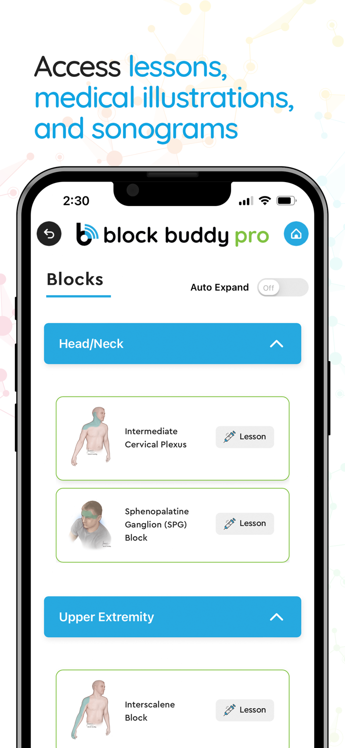Block Buddy Pro