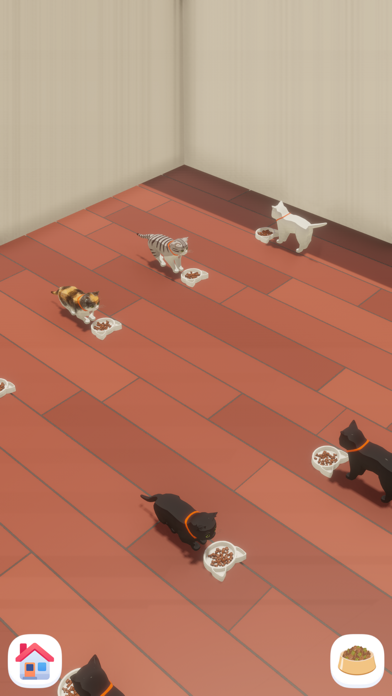 Cute Cat House Screenshot