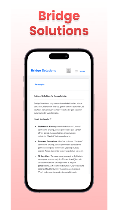 Bridge Solutions Screenshot