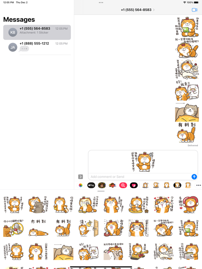 白爛貓17 三八阿花一朵花 HK